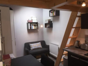 Tiny house avec terrasse